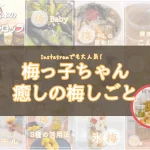 梅っ子ちゃん/癒しの梅しごと